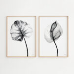 Minimalist black and white botanical X-ray art prints showing translucent leaf structures in wooden frames.