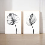 Minimalist black and white botanical x-ray prints in elegant gold frames against white wall.