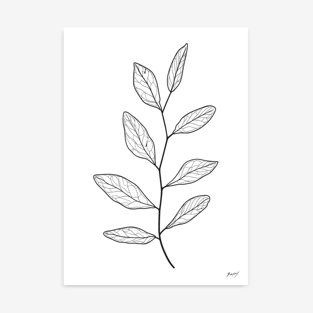 Minimalist black line drawing of branch with oval leaves and delicate vein patterns