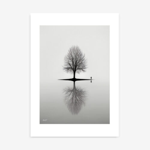 Lone tree reflected in still water, shrouded in misty monochrome landscape.