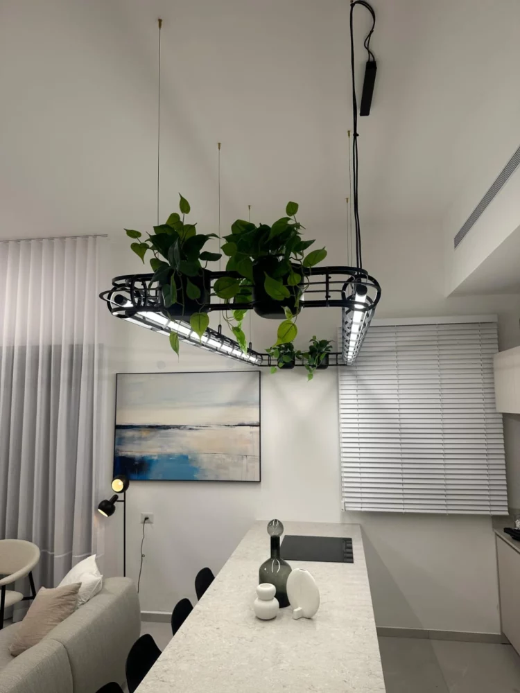 Modern kitchen with hanging plants above white countertop and abstract art.