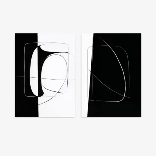 Minimalist black and white abstract diptych with flowing curved lines and geometric shapes.