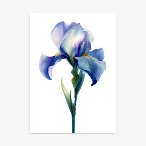 Blue Iris | Vibrant Floral Watercolor Art Print
