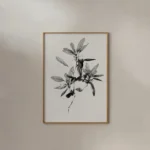 Framed black and white botanical line art print of a leafy branch, hung on a plain, neutral-colored wall with strong natural sunlight creating distinct shadows.