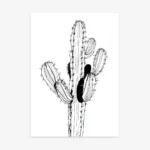 Detailed black and white minimalist line art drawing of a multi-branched desert cactus, featuring some solid black fill and intricate spiky texture.