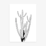 Detailed black and white minimalist line art drawing of a tall, multi-branched desert cactus with spiky details.