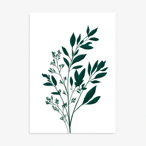 A crisp art print featuring a minimalist illustration of a delicate botanical sprig with dark green leaves and small details, set against a clean white background.