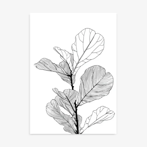 Fiddle Leaf | Minimalist Houseplant Line Art Print