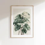 Vertical framed art print featuring a muted green and white Monstera plant, prominently displayed on a clean white wall with natural sunlight and shadows, ideal for modern decor.