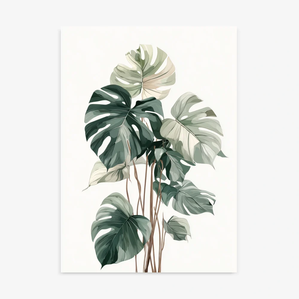 Modern botanical wall art print of a healthy Monstera deliciosa plant with multiple large, split leaves in shades of green and white, on a light background.