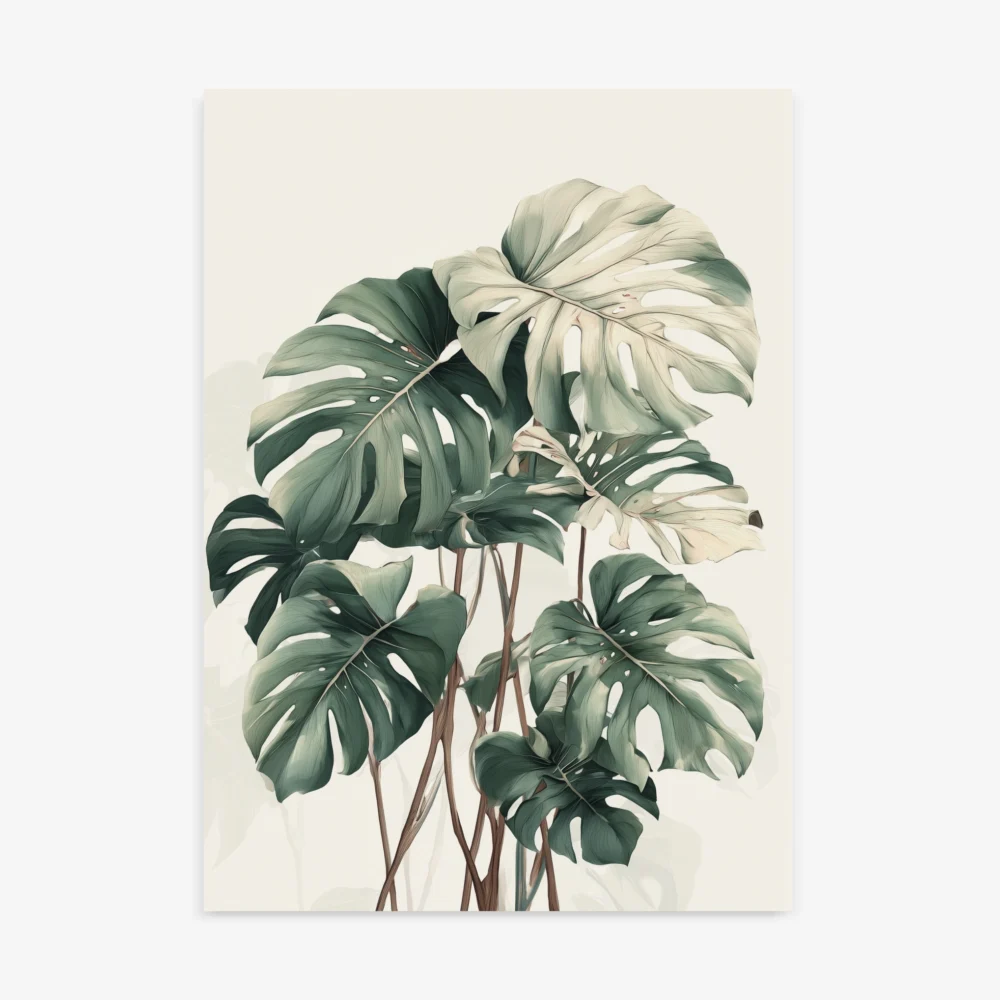 Detailed botanical illustration art print of a vibrant Monstera deliciosa plant with multiple large, split leaves in muted shades of green and white, on a light background.