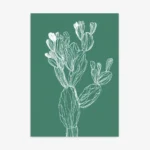 Minimalist white line art drawing of a prickly pear cactus with multiple pads and subtle internal lines, set against a solid emerald green background.