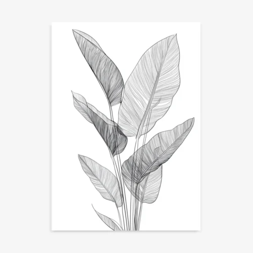 Bird of Paradise | Minimalist Botanical Line Art Print