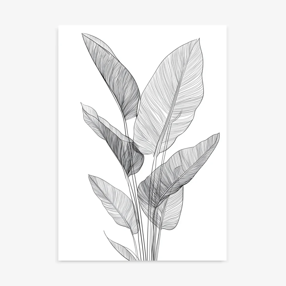 Detailed black and white minimalist line art drawing showcasing multiple overlapping tropical leaves with delicate linear patterns.
