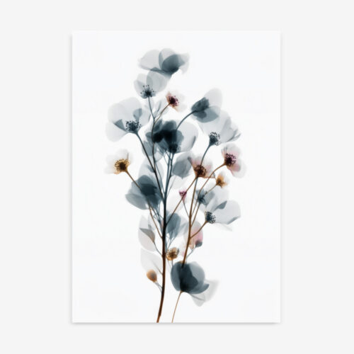 Hidden Bloom | X-Ray Botanical Floral Art Print