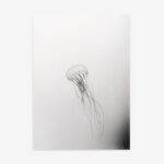 Fine Art Print — vertical-art-print, black-and-white-photography-art-prints print