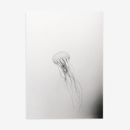 Fine Art Print — vertical-art-print, black-and-white-photography-art-prints print