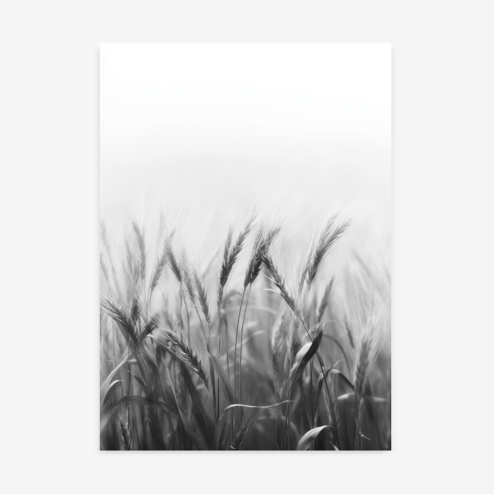 Fine Art Print — wheat-field-photography, black-and-white-nature-print print