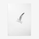 Fine Art Print — botanical-art-print, drawings-and-sketches-art-prints print