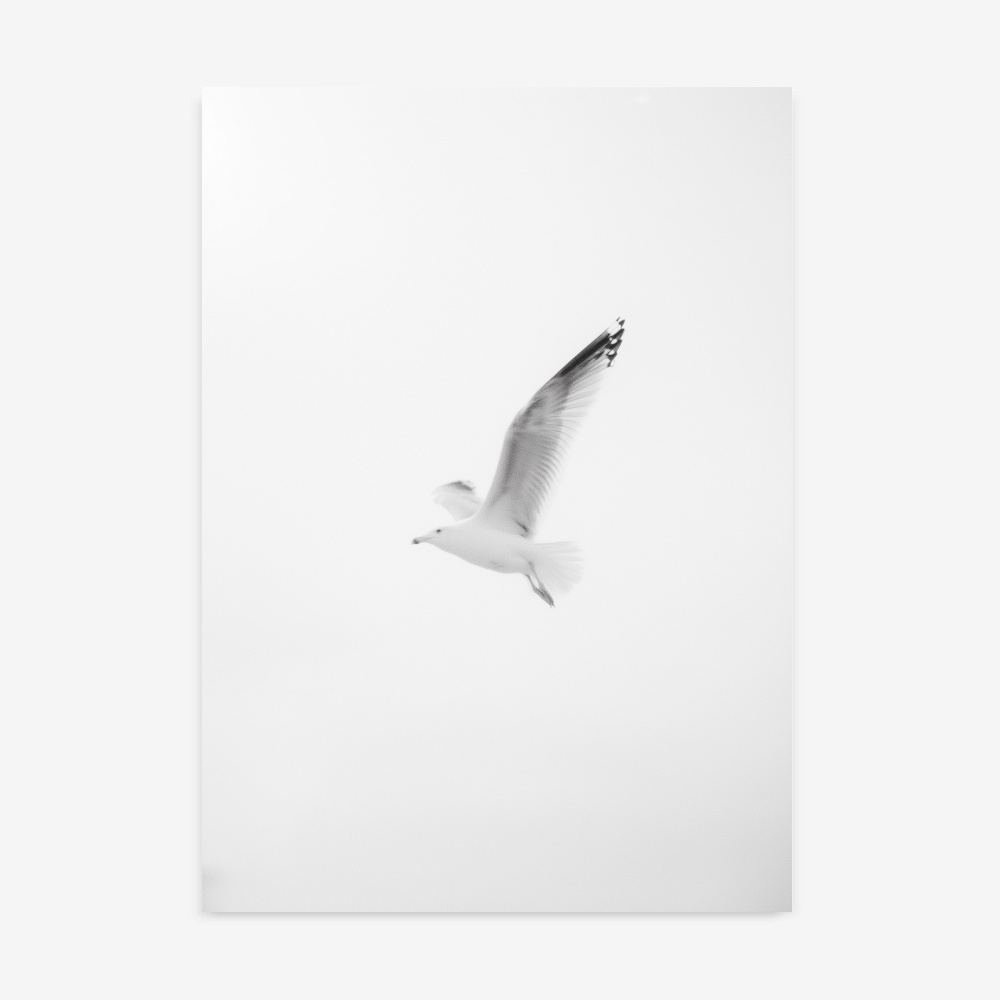 Fine Art Print — botanical-art-print, drawings-and-sketches-art-prints print