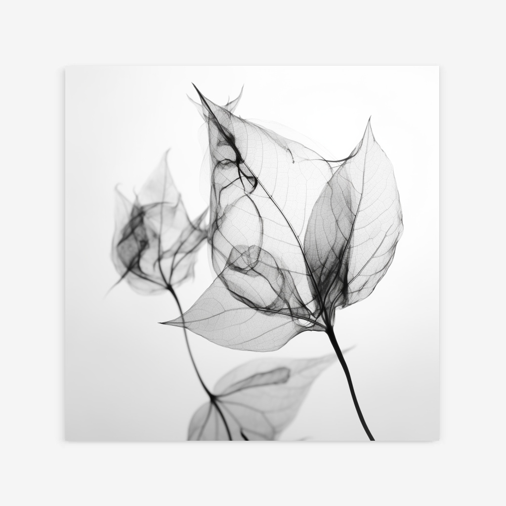 Fine Art Print — black-and-white-photography-art-prints, botanical-art-print print