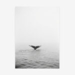 Fine Art Print — animals-art-print, black-and-white-photography-art-prints print