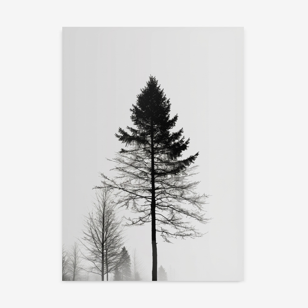 Fine Art Print — black-and-white-photography-art-prints, black-art-prints print