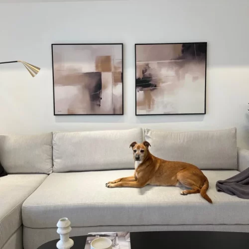 Golden retriever relaxing on gray sectional under abstract artwork in modern living room.