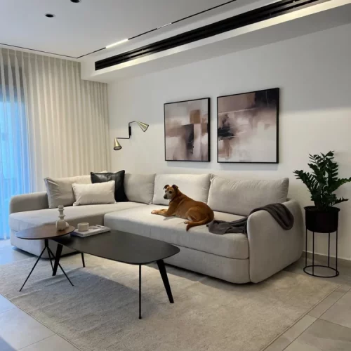 Modern living room with sectional sofa, abstract art, and golden dog resting.