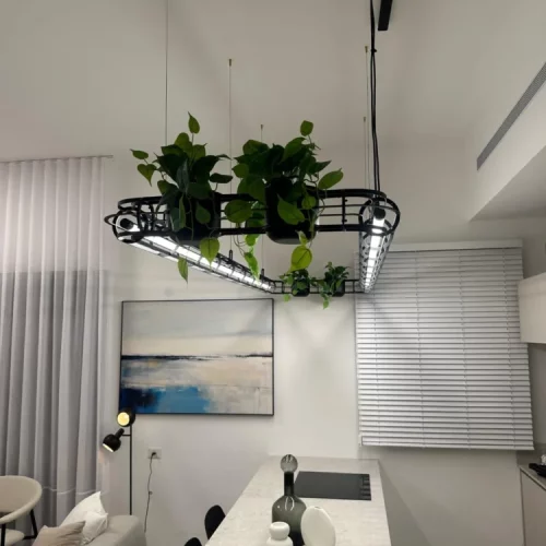 Modern kitchen with hanging plants above white countertop and abstract art.